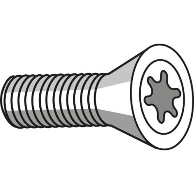 šroub Torx US 2506-TP07 - obrázek