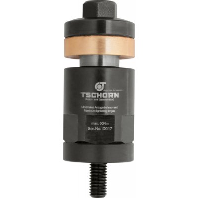Upínací svorník 100 mm kolík M10 TSCHORN