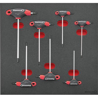 Modul s nářadím 2/3 T-rukojeť Torx s boční stopkou Format