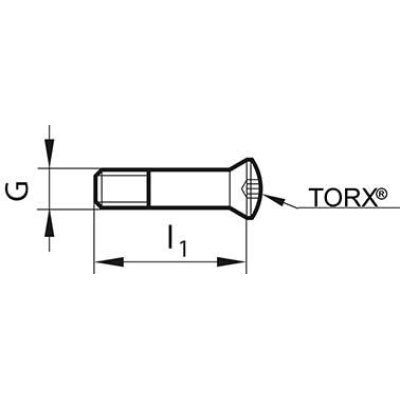 Upínací šroub T10 16,00 - 17,99 mm Gühring - pre217360.jpg