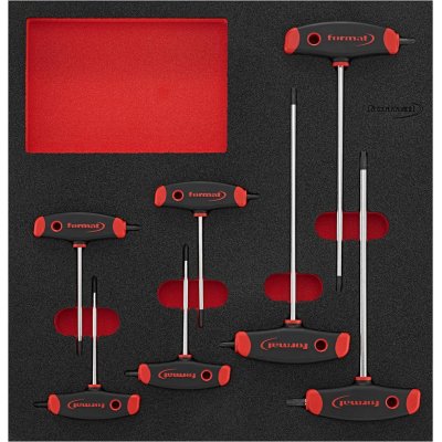 Modul pro nástroje 2/3 T rukojeť Torx s boční stopkou FORMAT