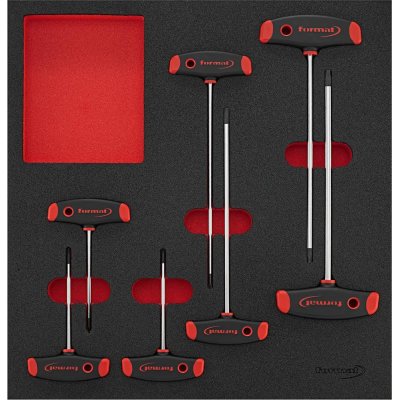 Modul pro nástroje 2/3 T rukojeť Torx FORMAT